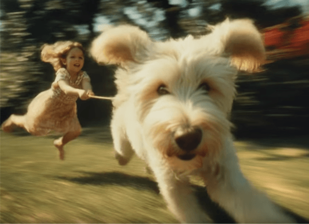 Interacting with family members